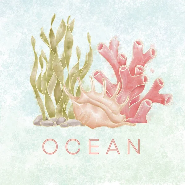 海泡を背景に貝殻やサンゴ 藻類などのイラストが描かれた海洋テーマの構図ロゴ — ストック写真