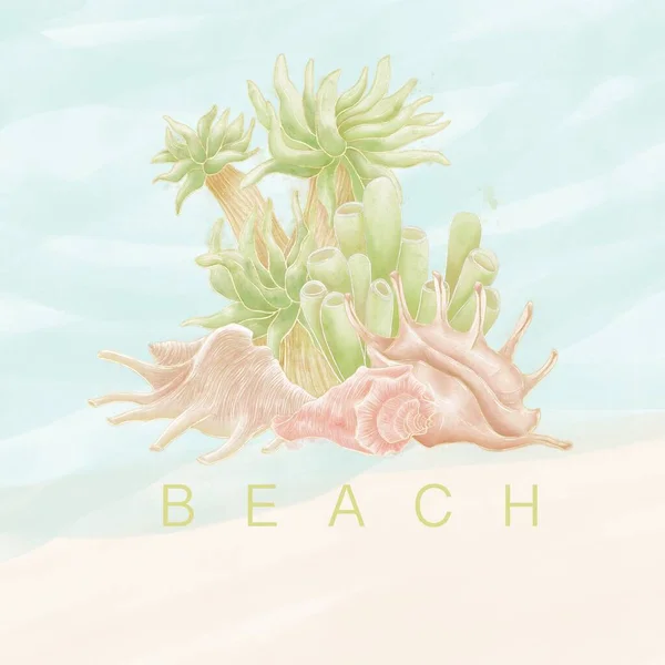 海とビーチの背景にある緑のサンゴと藻類とベージュの殻と構成 — ストック写真