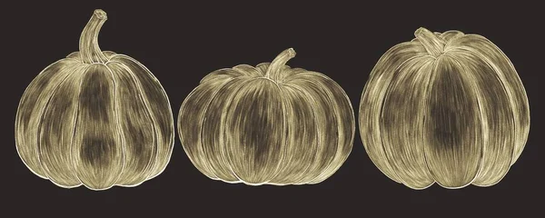 Oro Contorno Illustrazioni Tratteggiate Una Zucca Sfondo Nero — Foto Stock