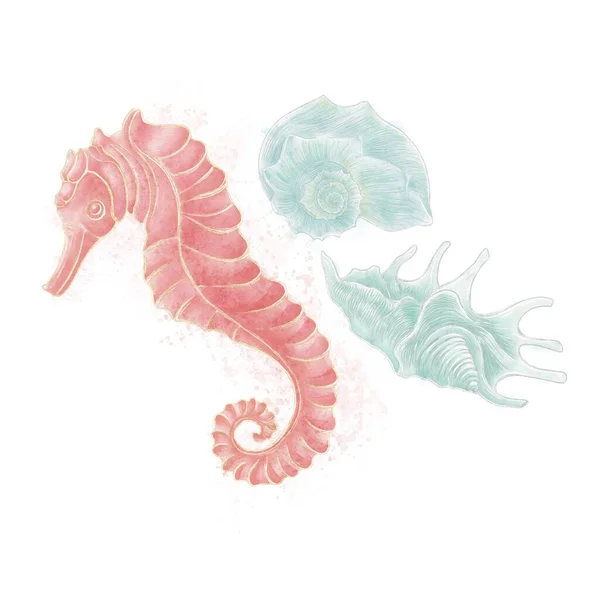Složení Ilustrace Téma Oceánu Mořský Koník Mušle Tyrkysové Barvy Bílém — Stock fotografie