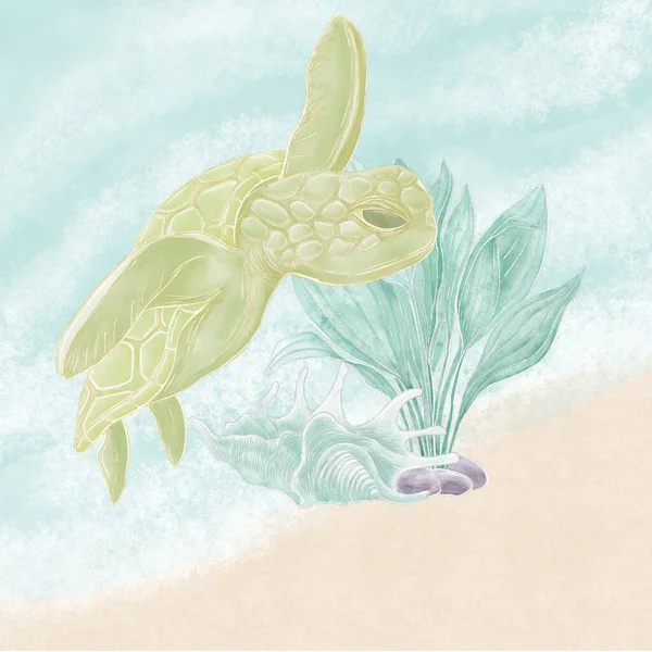ウミガメの貝殻や海草を砂で描いたもの — ストック写真