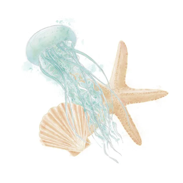 Mořské Ilustrace Medúzy Mušle Zlatá Hvězda Bílém Pozadí Kompozice — Stock fotografie