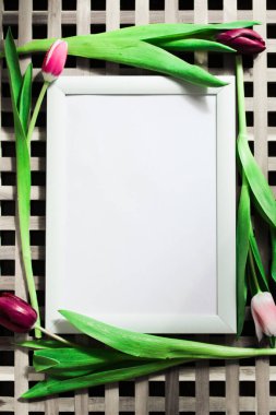 Kopyalama alanı olan bir poster. Lale desenli bir çerçeve. Beyaz, minimalizm. Boşluğu kopyala.