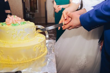 Düğün Resepsiyonunda Gelin ve Damat Düğün Pastasını Kesiyor