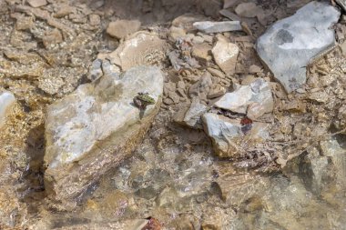 Manzaralı çok renkli dağ doğası. Güzel gri-turuncu ve kahverengi kayalar. Değişik bir dağın yakın plan görüntüsü.