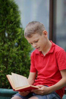 8 yaşında, kırmızı tişörtlü bir çocuk parkta kırmızı bir kitap okuyor. Yeşilliğin arka planında bir battaniyenin üzerinde oturuyor.