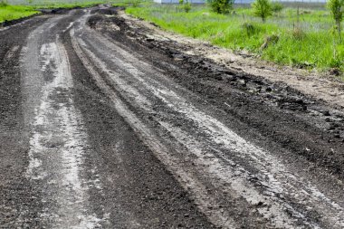 Yazın yeşil çimenler boyunca uzun dolambaçlı kırsal patika