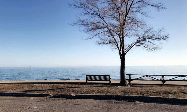 Boş Benç Ağaç ve Güzel Deniz Manzarası Fotoğrafçılığı