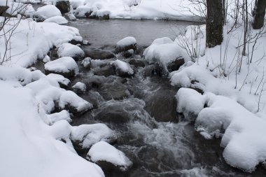 Orman ve nehir manzara kış