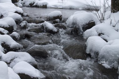 Orman ve nehir manzara kış