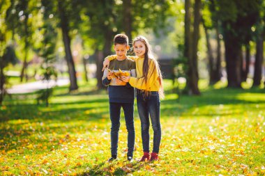 Mutlu Kafkas kardeşler, sonbahar gününde parkta güneşli havanın tadını çıkarıyorlar. Çocuklar doğada düşmüş sarı yaprakları tutarken eğleniyorlar. Sonbahar parkında komik ikizler. Sonbahar havası. Kucaklayan gençler.