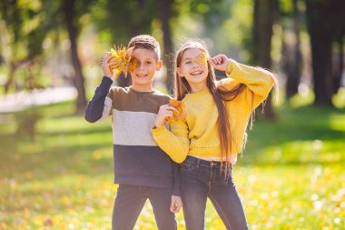 Mutlu Kafkas kardeşler, sonbahar gününde parkta güneşli havanın tadını çıkarıyorlar. Çocuklar doğada düşmüş sarı yaprakları tutarken eğleniyorlar. Sonbahar parkında komik ikizler. Sonbahar havası. Kucaklayan gençler.