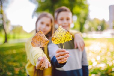 Mutlu Kafkas kardeşler, sonbahar gününde parkta güneşli havanın tadını çıkarıyorlar. Çocuklar doğada düşmüş sarı yaprakları tutarken eğleniyorlar. Sonbahar parkında komik ikizler. Sonbahar havası. Kucaklayan gençler.