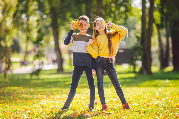公園で秋の日に楽しむ幸せな白人の兄弟 晴れた日 秋の黄色の葉を自然に保持することを楽しんでいる子供たち 秋の公園で面白い双子 秋の気分 十代の若者たちポルノの抱擁 — ストック写真