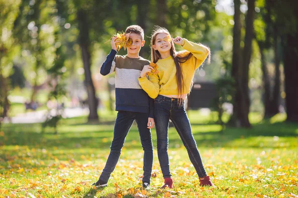 幸せな双子のティーンエイジャーの男の子と女の子は 秋の公園で手に落ちた黄色の葉を持って抱き合ってポーズ天気の良い日に 秋のテーマ 兄弟姉妹は葉で遊ぶのが楽しい — ストック写真