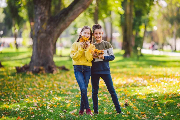 公園で秋の日に楽しむ幸せな白人の兄弟 晴れた日 秋の黄色の葉を自然に保持することを楽しんでいる子供たち 秋の公園で面白い双子 秋の気分 十代の若者たちポルノの抱擁 — ストック写真