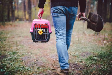 Tema evcil hayvanın ölümü. Bir elinde mezar kazmak için bir elinde kürekle orman yolunda yürüyen bir adam ve içinde bir hayvan olan diğer nakliye kutusunda. Kedinin son yolu.