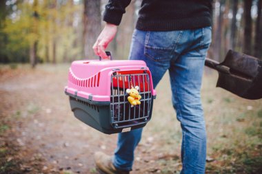 Yasadışı hayvan gömme teması. Ormanda self-servis hayvan mezarı. İnsan, yanında ölü kedi ya da köpek ve ormana gömmek için büyük bir kürek taşıyan taşıyıcı taşır. RIP evcil hayvan.