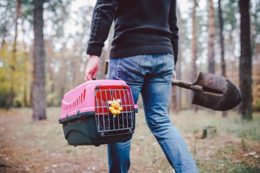 Tema evcil hayvanın ölümü. Bir elinde mezar kazmak için bir elinde kürekle orman yolunda yürüyen bir adam ve içinde bir hayvan olan diğer nakliye kutusunda. Kedinin son yolu.