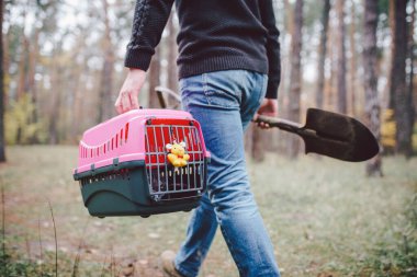 Tema evcil hayvanın ölümü. Bir elinde mezar kazmak için bir elinde kürekle orman yolunda yürüyen bir adam ve içinde bir hayvan olan diğer nakliye kutusunda. Kedinin son yolu.