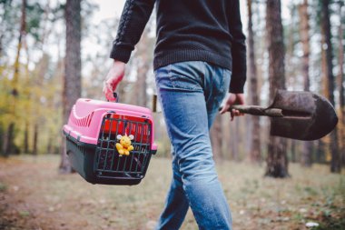 Adam hala ormanda içinde hayvan leşi olan bir kutu taşıyor ve hayvanları oduna gömmek için kürek taşıyor. Sonbaharda evcil hayvan kaybı. Erkek yasa dışı bir defin yapar, kedi mezarı, arka manzara. Evcil hayvan ölümü.