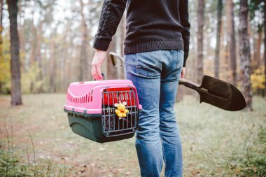 Yasadışı hayvan gömme teması. Ormanda self-servis hayvan mezarı. İnsan, yanında ölü kedi ya da köpek ve ormana gömmek için büyük bir kürek taşıyan taşıyıcı taşır. RIP evcil hayvan.