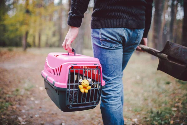 Adam hala ormanda içinde hayvan leşi olan bir kutu taşıyor ve hayvanları oduna gömmek için kürek taşıyor. Sonbaharda evcil hayvan kaybı. Erkek yasa dışı bir defin yapar, kedi mezarı, arka manzara. Evcil hayvan ölümü.