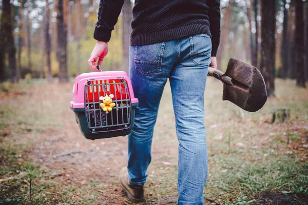 Yasadışı hayvan gömme teması. Ormanda self-servis hayvan mezarı. İnsan, yanında ölü kedi ya da köpek ve ormana gömmek için büyük bir kürek taşıyan taşıyıcı taşır. RIP evcil hayvan.