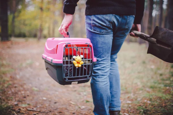 Tema evcil hayvanın ölümü. Bir elinde mezar kazmak için bir elinde kürekle orman yolunda yürüyen bir adam ve içinde bir hayvan olan diğer nakliye kutusunda. Kedinin son yolu.
