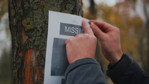 这个人失去了他最好的朋友一只哈士奇小狗.店主在公园的树上贴了一个关于丢失的狗的广告横幅。丢失的宠物旗。搜索狗的奖赏偷了一只宠物失踪的西伯利亚哈士奇人 — 图库视频影像