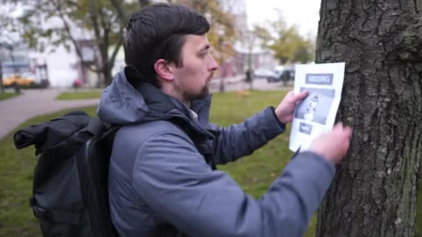 Lost pet owner sets dog photo poster of losing husky puppy on tree in park. Man pasting posters of the missing dog. Flyer with information about the missing dog hangs on a tree in the park. Lost dog — Stock Video