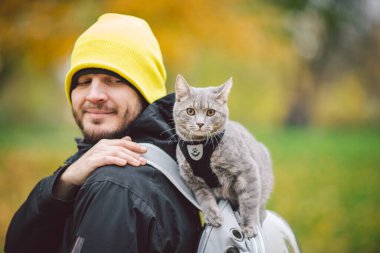 Uzun boylu, beyaz, mutlu bir adamın portresi gri komik, yakışıklı bir kedi yavrusuyla oynuyordu. Sırtüstü oturuyordu şeffaf kedi çantası, yakın plan yeşil arka plan, insanlar ve evcil hayvan..