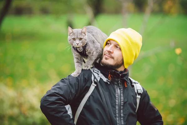 Sonbaharda sokakta yürüyen, koyu renk ceketli, parlak sarı şapkalı yetişkin beyaz adam ve eğitimli yerli gri komik kedisi, erkek, ilginç görünüyor. Kedi tasması ve evcil çantalı çanta kullanma konusu..