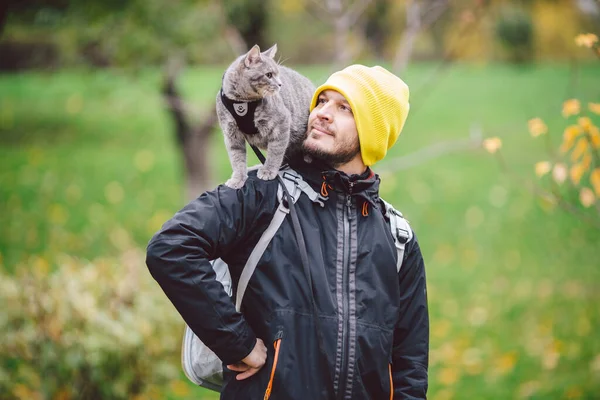 Cute gray young cat dressed leash for cats outdoors in autumn park street,stands on shoulder of owner,back of man dressed transparent cat backpack,no face.Animal care, people and pets theme, close-up