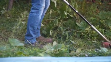 Bahçede çim biçen bir bahçıvan. Benzin fırçası makasıyla çim biçen adam. Benzin budama makinesiyle çim biçme işlemi. Çim biçme işi. Kesici, bahçecilik konsepti. Çim biçme makinesi, millet.