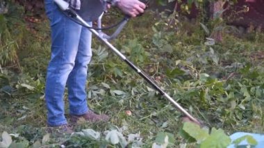 Elektrikli çim biçme makinesi ve çim biçme makinesi olan bir adam. Bahçıvan bahçe buduyor. Banliyö, köy. Beyaz tenli erkek bahçıvan avluda benzin makası ile dikiliyor. Tarlada yabani otları kesen fırça kesiciler
