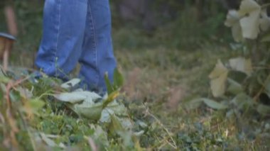 Elektrikli çim biçme makinesi ve çim biçme makinesi olan bir adam. Bahçıvan bahçe buduyor. Banliyö, köy. Beyaz tenli erkek bahçıvan avluda benzin makası ile dikiliyor. Tarlada yabani otları kesen fırça kesiciler