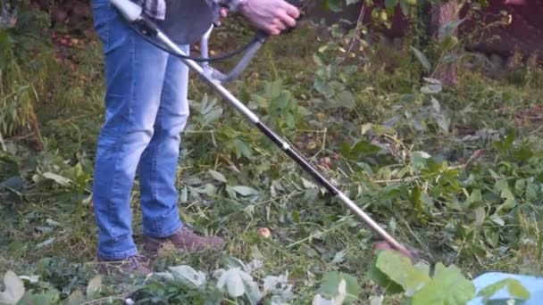 Man met elektrische grasmaaier, grasmaaier. Tuinman snoeien tuin. Voorstad, dorp. Jonge blanke mannelijke boer tuinier staat in de tuin met benzine trimmer. Penseelsnijder snoeien onkruid op boerderij — Stockvideo