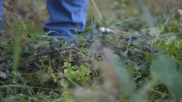 Tuinman werkt in tuin van landelijk huis met grasmaaier. Mannelijke boer die wild gras maait met een elektrische zeis op de boerderij. Jonge mannelijke werknemer maait onkruid, met behulp van trimmer. Benzine borstelsnijder — Stockvideo