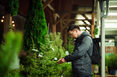 Tema, Noel ve Yeni Yıl tatillerinin sembolüdür. Noel ağacını seçen adam. Kışın açık havada Noel ağacı pazarı. Tatil için hazır. Tema, Noel ve Yeni Yıl 'ın sembolüdür.