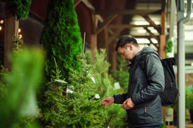 Genç Kafkasyalı adam yılbaşı tatilinde evini dekore etmek için Noel pazarından kozalaklı ağaç seçiyor. Tatil alışverişi. Erkek, akşamları dışarıdaki bir siteden Noel ağacı alır..