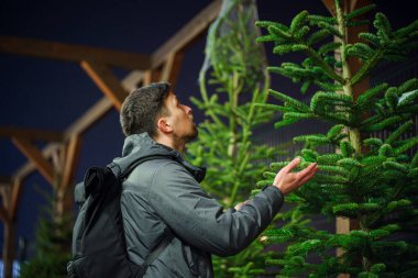 Genç Kafkasyalı adam yılbaşı tatilinde evini dekore etmek için Noel pazarından kozalaklı ağaç seçiyor. Tatil alışverişi. Erkek, akşamları dışarıdaki bir siteden Noel ağacı alır..