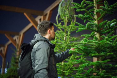 Tema, Noel ve Yeni Yıl tatillerinin sembolüdür. Noel ağacını seçen adam. Kışın açık havada Noel ağacı pazarı. Tatil için hazır. Tema, Noel ve Yeni Yıl 'ın sembolüdür.