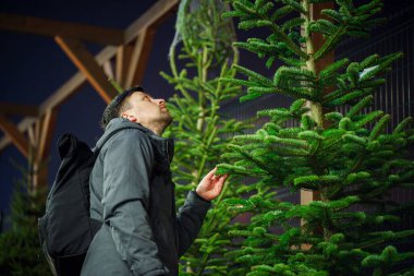 Tema, Noel ve Yeni Yıl tatillerinin sembolüdür. Noel ağacını seçen adam. Kışın açık havada Noel ağacı pazarı. Tatil için hazır. Tema, Noel ve Yeni Yıl 'ın sembolüdür.