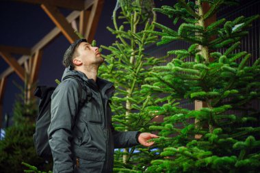 Özel dikim yerinden alınmış mükemmel bir Noel ağacı buldum. Genç yetişkin bir adam Noel ağacı seçiyor. Erkek, kış tatilinde marketten noel ağacı alıyor. Yeni yıla hazırlanılıyor.
