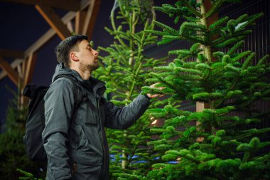 Genç Kafkasyalı adam yılbaşı tatilinde evini dekore etmek için Noel pazarından kozalaklı ağaç seçiyor. Tatil alışverişi. Erkek, akşamları dışarıdaki bir siteden Noel ağacı alır..