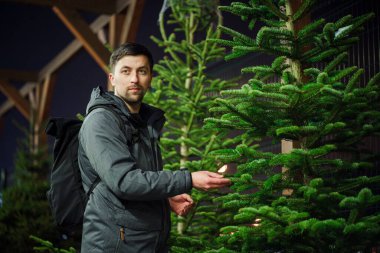 Özel dikim yerinden alınmış mükemmel bir Noel ağacı buldum. Genç yetişkin bir adam Noel ağacı seçiyor. Erkek, kış tatilinde marketten noel ağacı alıyor. Yeni yıla hazırlanılıyor.