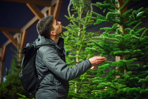Fiatal Kaukázusi Férfi Úgy Dönt Tűlevelű Karácsonykor Piacon Díszíteni Otthonát — Stock Fotó