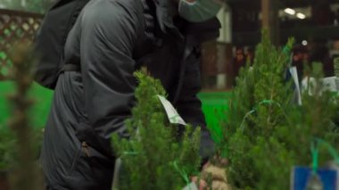 Karantina sırasında Noel alışverişi, koronavirüs salgını. Noel pazarının dışında maske takmış bir adam tencerede küçük bir Noel ağacı seçer, yeni norm covid 19.