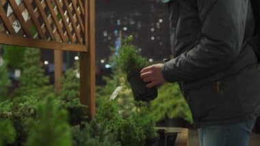 Karantina sırasında Noel alışverişi, koronavirüs salgını. Noel pazarının dışında maske takmış bir adam tencerede küçük bir Noel ağacı seçer, yeni norm covid 19.